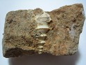 Unknown  Spain. Uploaded by Granotius